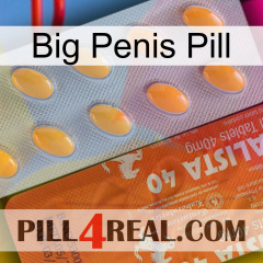 Big Penis Pill 43